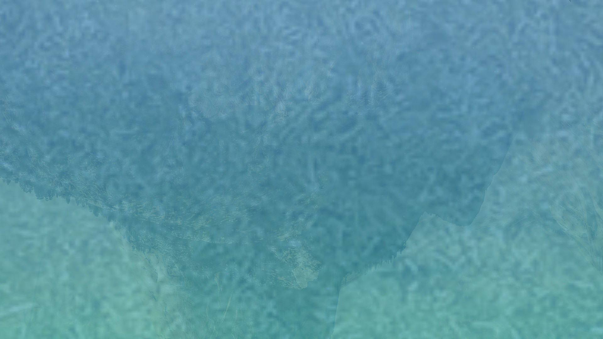 全天发货的小黑ddos压力测试平台